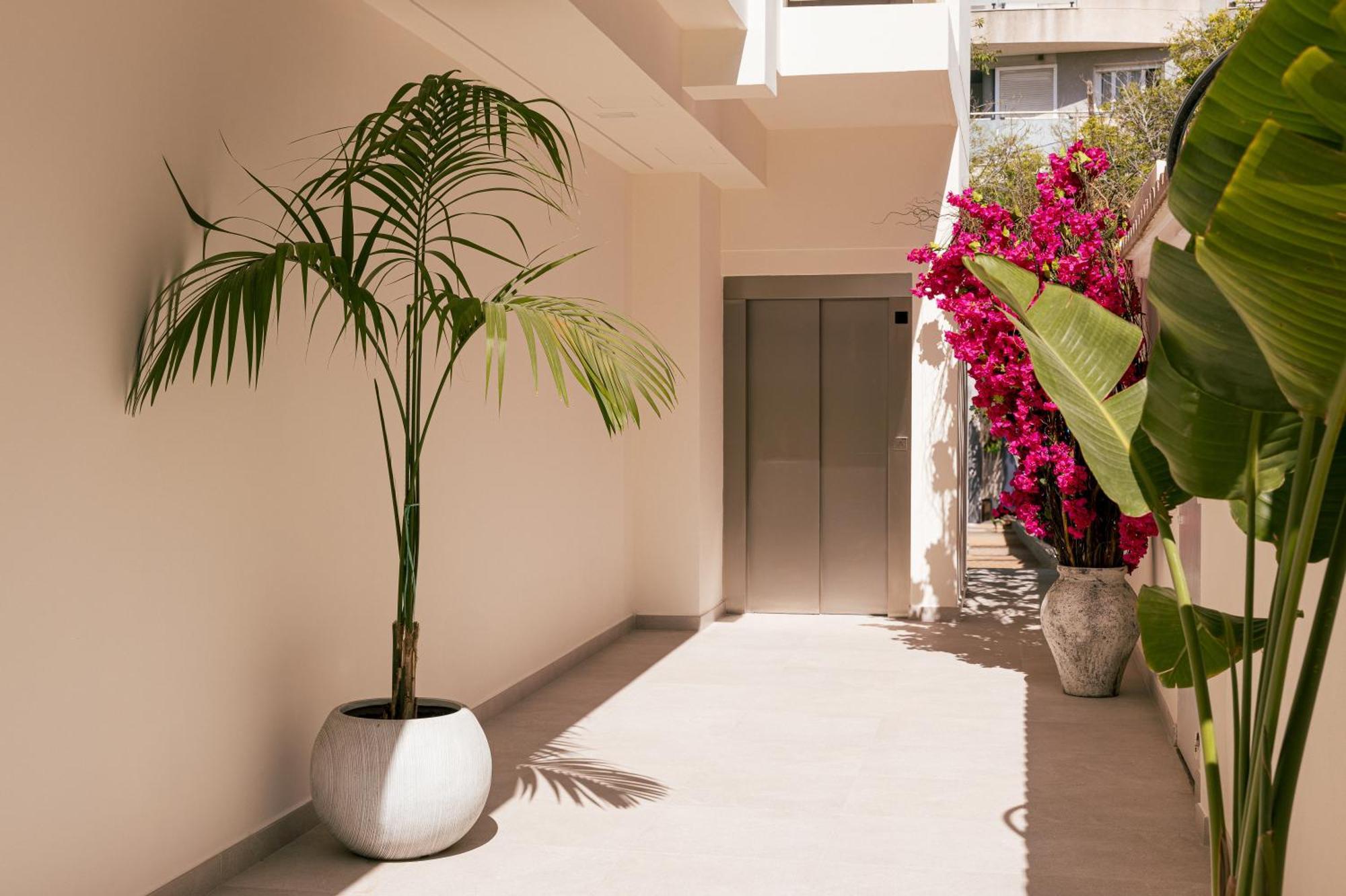 Apartamentos Malacosta - MC Apartamentos Ibiza Apartamento